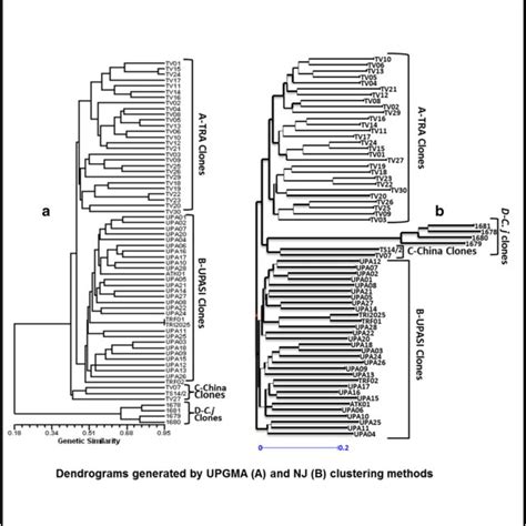 Dendrograms Generated By Upgma A And Neighbor Joining B Clustering