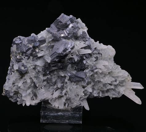 Galena And Quartz Herja Mine Baia Mare Maramure Romania Sz Mineraux