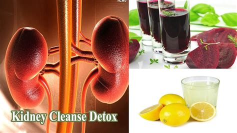 5 Surprising Ways How To Cleanse Kidneys Naturally At Home Kidney