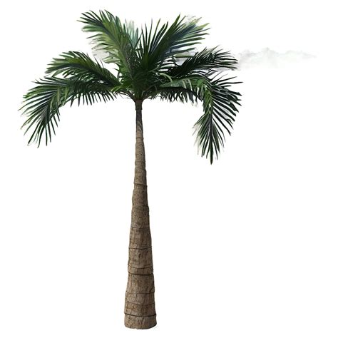 Download Tropical Palm Trees Png Juf37