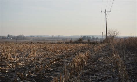 Iowa Sweet Corn • Family and Farming