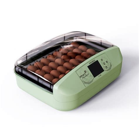 Buy Incubators For Hatching Eggs Egg Incubator With Automatic