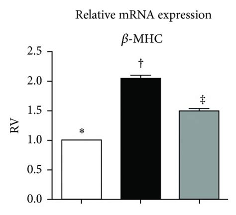 Mrna Expressions Of Fibrotic And Apoptotic Biomarkers In Lung