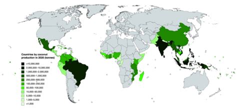 List Of Countries By Coconut Production Facts For Kids