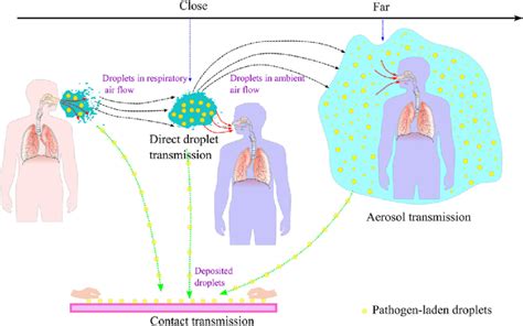 Schematic Of Transmission Routes Of Respiratory Infectious Pathogens Download Scientific