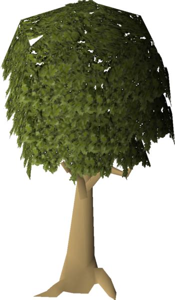 Mahogany Tree Osrs Wiki