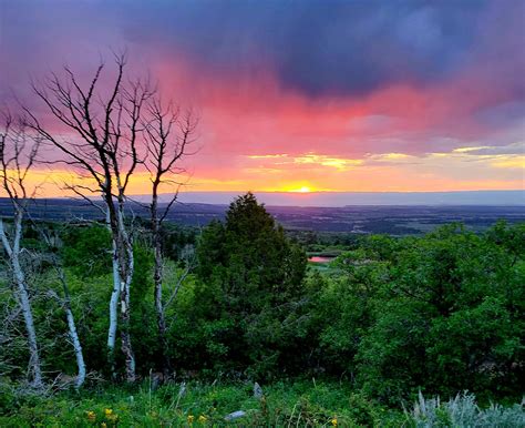 legacy obituaries colorado 7