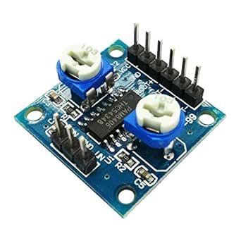 W W Noiseless Digital Amplifier Board Stereo Dual Channel Class D