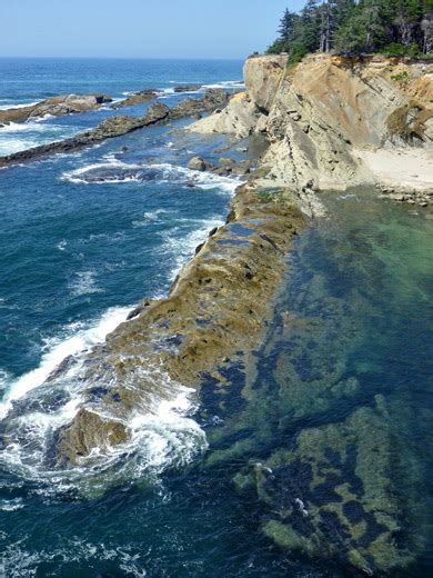 Shore Acres State Park, Oregon