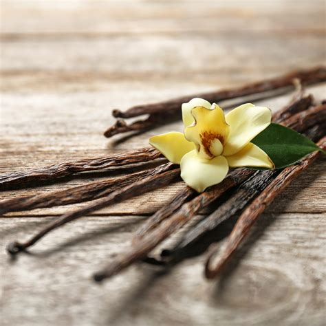 Vanilla - Eroma