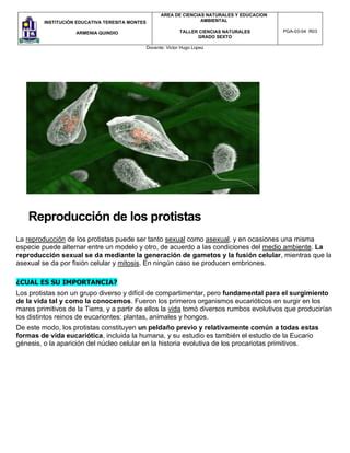 Taller Reino Protista Sexto Pdf