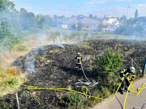 FW Celle Flächenbrand in der Trüllerstraße Presseportal