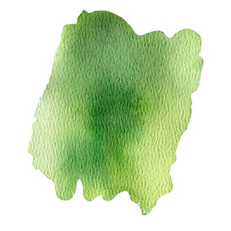 Green Stain of Paint on an Isolated White Background. Watercolor ...