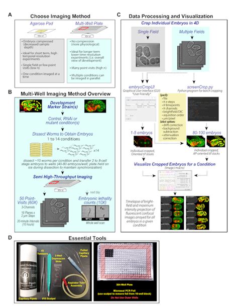 A Semi High Throughput Imaging Method And Data Visualization Toolkit To