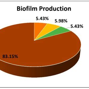 Distribution Of Biofilm Producers Among All Isolates Nbfnon Biofilm