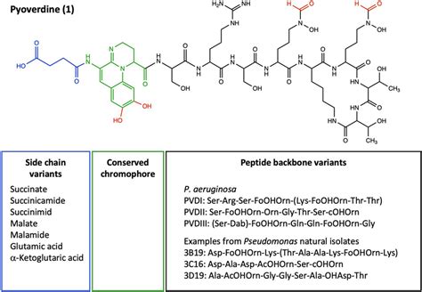 Pyoverdine And Its Structural Diversity Among Pseudomonas Spp The