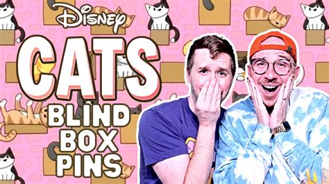 Disney Blind Box Pins Unboxing BoxLunch Haul Cats In Boxes Mystery