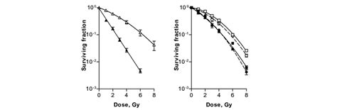 Radiation Dose Survival Curves Of Sw Human Lung Cancer Cells