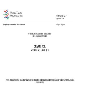 Next Steps Upon The Entry Into Force Of The WTO Agreement Doc