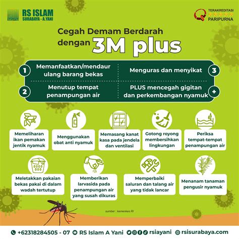 Cegah Demam Berdarah Dengan 3m Plus Rs Islam Surabaya