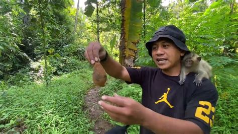 Survive Di Hutan Rimba Bersama Hewan Pelihaan Hanya Ini Yang Bisa Kami