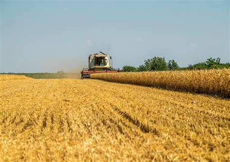 Harvesting and Threshing Equipment | SEAL