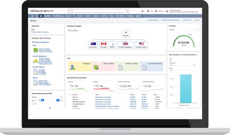 Netsuite Oneworld Global Business Management System