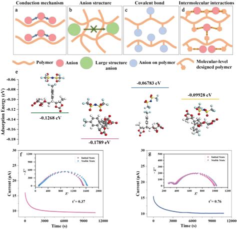 A Scheme Of Conduction Mechanism Of Anion In Polymer And Different