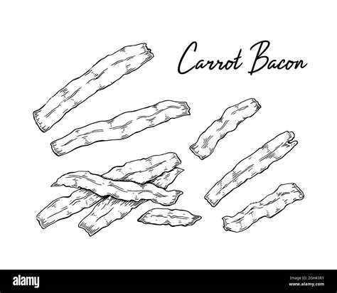 Hand Drawn Carrot Bacon Vector Illustration In Sketch Style Stock