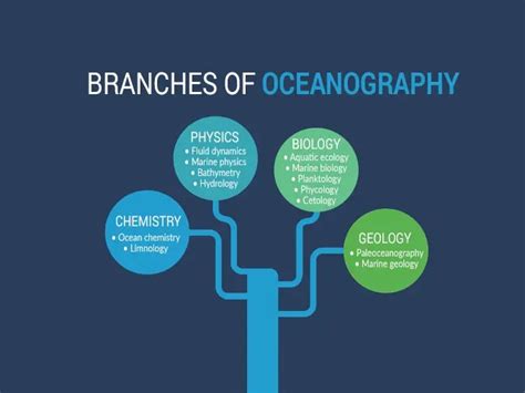 What is Oceanography? A Complete Guide to Ocean Studies - Earth How