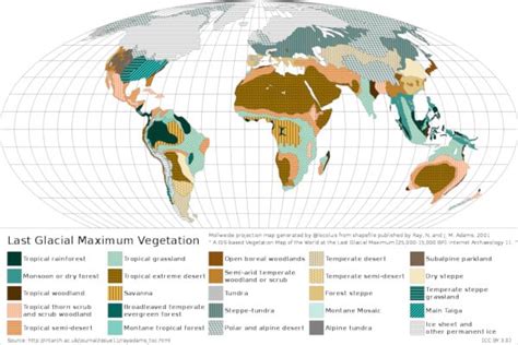 How Biogeography Will Be More Important In Understanding Human