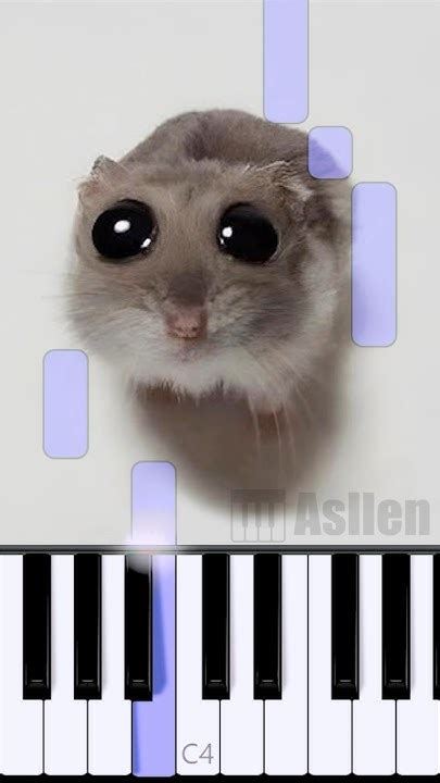 Sad Hamster Violin Meme Piano Tutorial Youtube