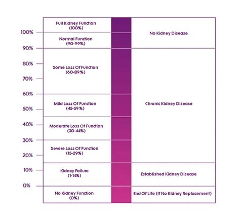 Stages Of Kidney Disease Kidney Research Uk