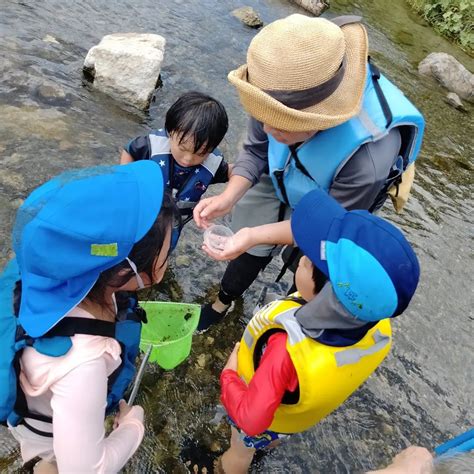 2022728（木）親子（そらまめ）クラスそらまめクラス、今年初の川遊び。ガサ入れして、生き物を捕まえて、ちょうど流れてきた透明のカップに