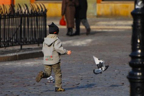 Catch it Free Stock Photo | FreeImages