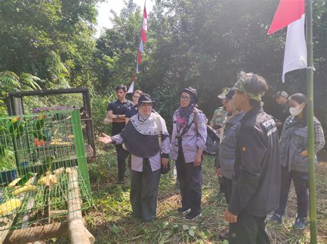 BKSDA Kalimantan Barat Dan Mitra Kerja Lepasliarkan Puluhan Satwa Liar