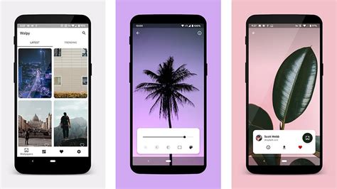 The Best Wallpaper Apps For Android Android Authority