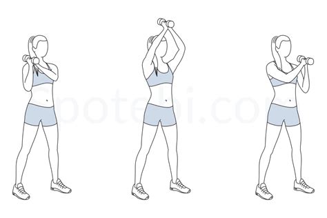 Dumbbell Shoulder To Shoulder Press | Illustrated Exercise Guide