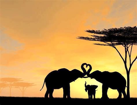 Elephant Trunk Heart Silhouette