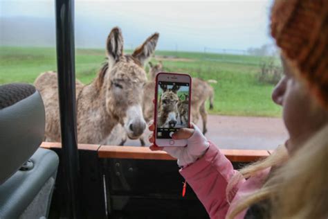 Beyond The Badlands The Ultimate Weekend In Rapid City South Dakota