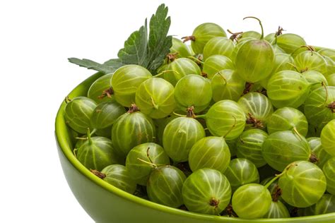 Gooseberry on white 12859239 Stock Photo at Vecteezy