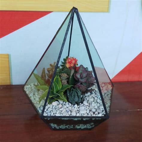 Jual Terrarium Kaktus Sukulen Terrarium Terarium Kado Unik