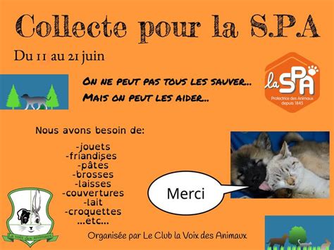 Club La Voix Des Animaux Collecte Pour La Spa Coll Ge De S Vres