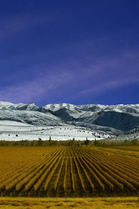 20 melhores vinícolas em Mendoza como visitar e reservar em 2024