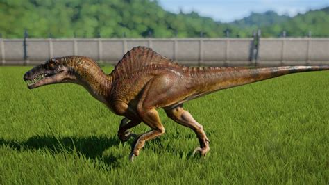 Spinoraptor