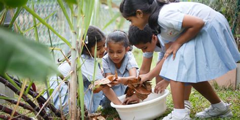 Global Indian International School Singapore (Photo Gallery)