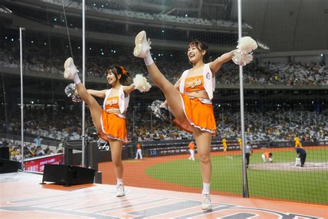 第2度體驗職棒季後賽應援氛圍 南霸天韓籍女神趙娟週許願獅隊總冠軍緯來新聞網