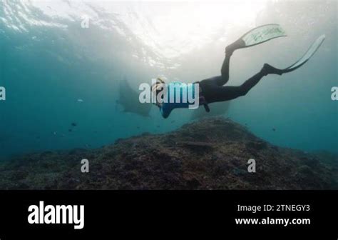 Underwater Photographer Takes Picture Of Manta Ray Freediver With