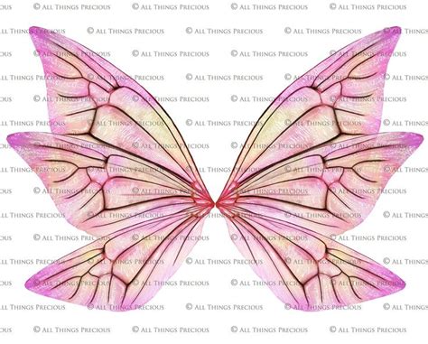 20 Png FAIRY WING Overlays Set 23 Overlays Insect Wings Graphic