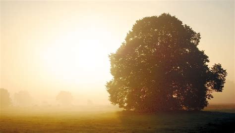 Warnung vor Glätte und Frost Wird es am Wochenende frostig oder sonnig